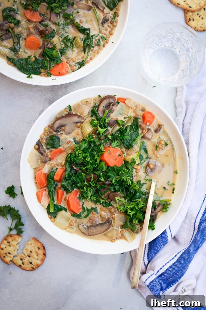 A large, inviting bowl filled with creamy mushroom vegan lentil soup, elegantly topped with fresh parsley, highlighting its rich and earthy flavors.