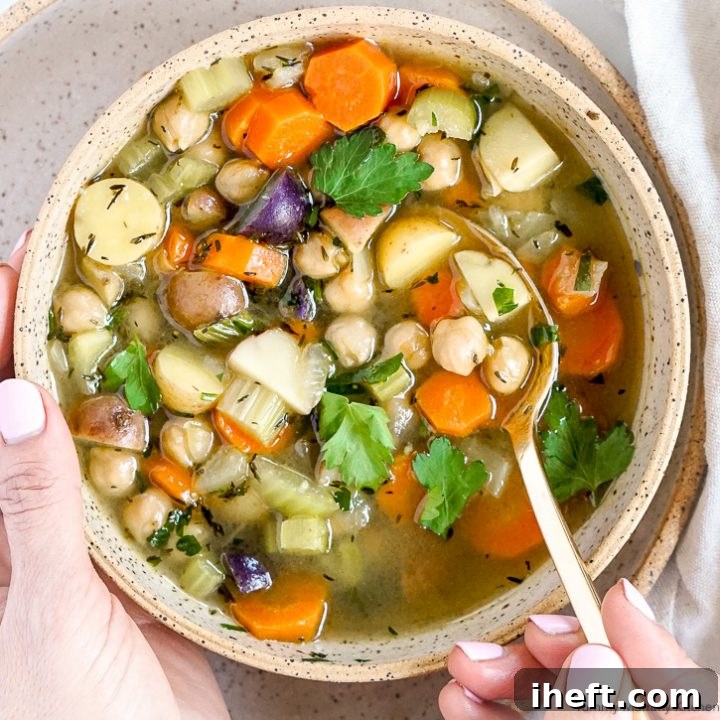 A comforting bowl of vegan vegetable soup with chickpeas, representing a collection of delightful plant-based soup recipes.