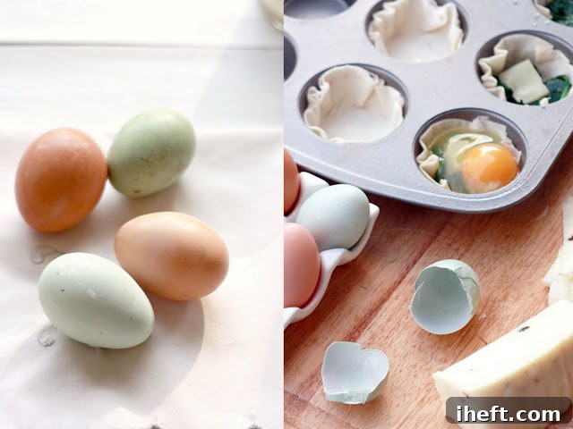 A collection of vibrantly colored backyard chicken eggs, showcasing shades of blue, green, and brown, carefully placed into individual filo pastry cups in a muffin tin, ready for baking.