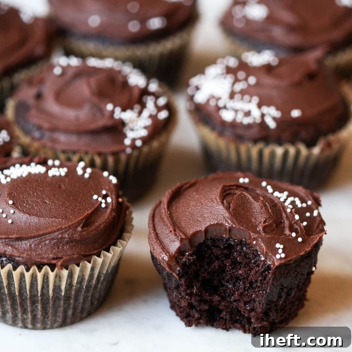 Vegan Chocolate Cupcakes