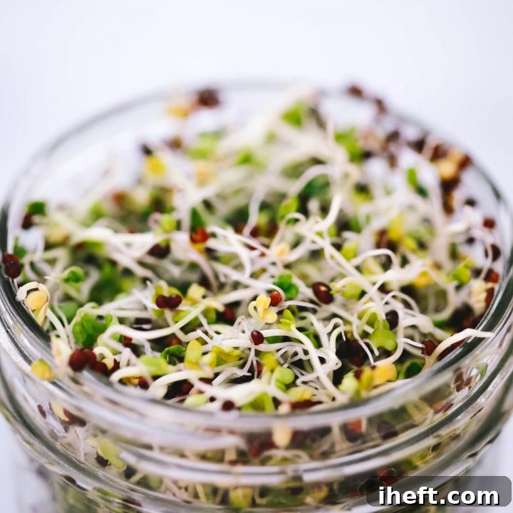 A close-up photograph of vibrant green broccoli sprouts, ready for harvest and consumption.