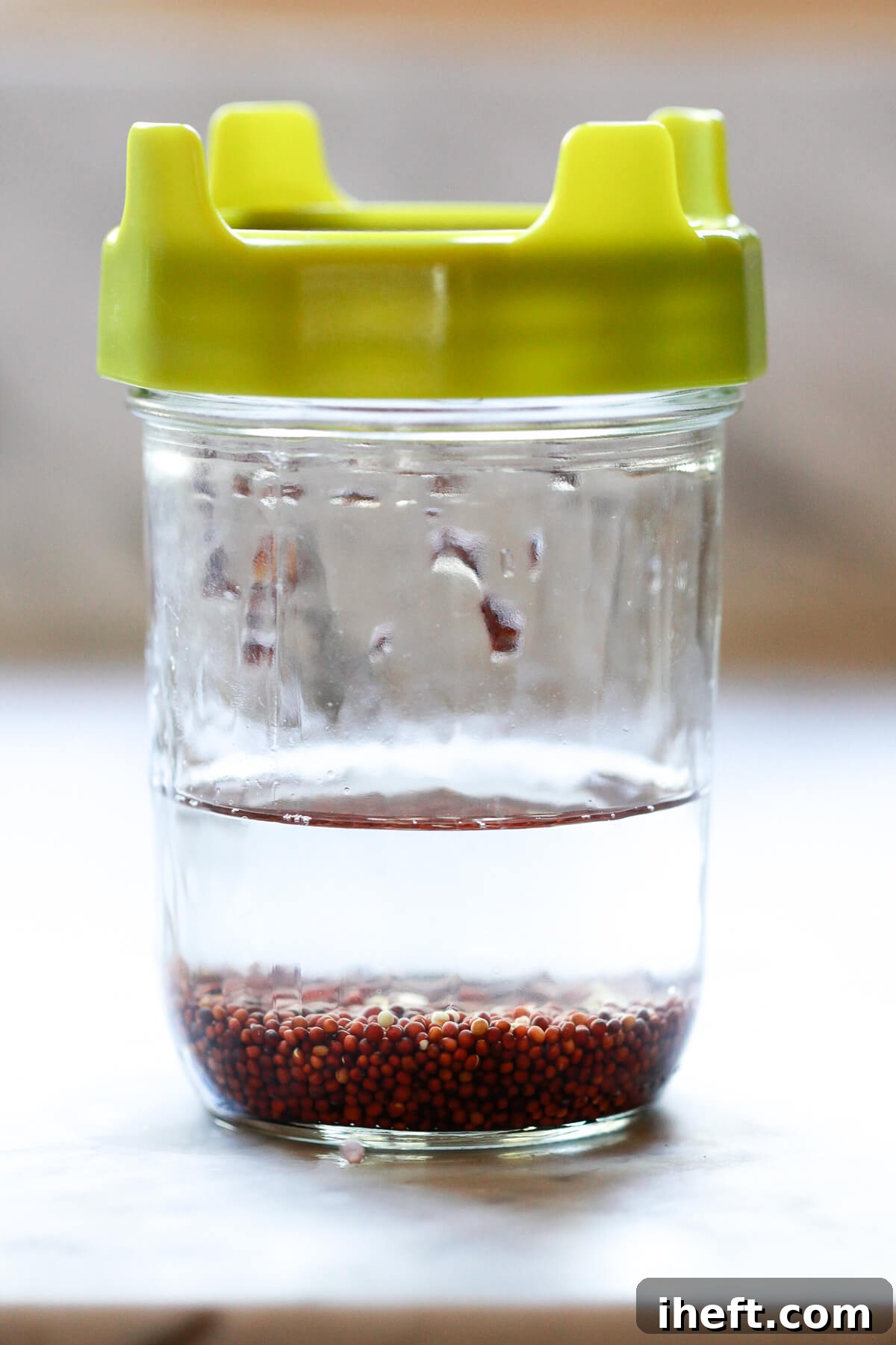 Broccoli sprout seeds soaking in water within a glass jar, covered with a mesh lid.