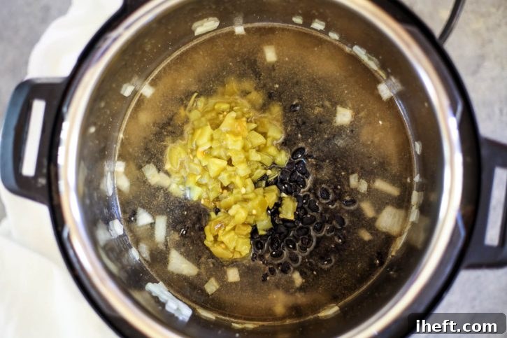A close-up view of dry black beans, vibrant green chilies, savory onions, and clear water nestled within the Instant Pot before the cooking process begins.