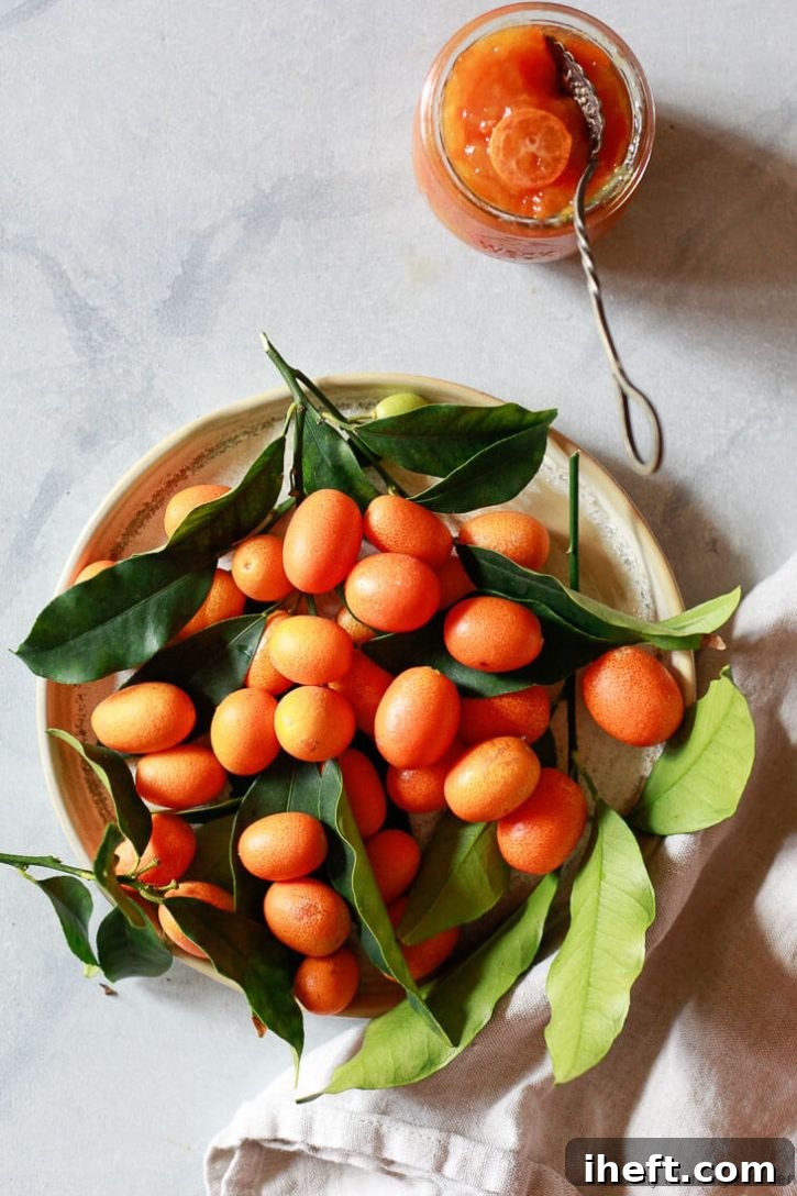 A bowl of freshly picked kumquats sits on a white countertop.