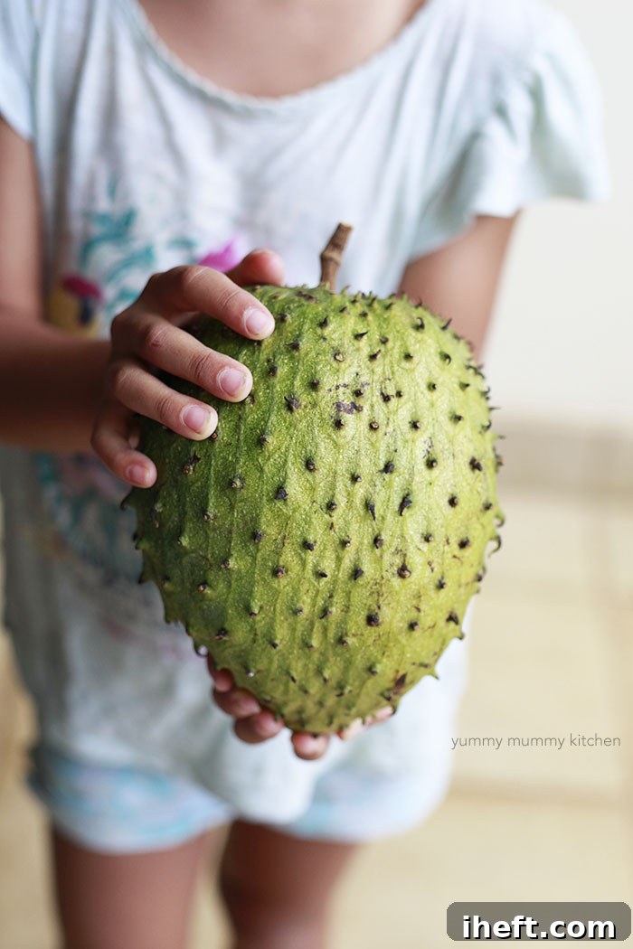 A young girl holds a soursop in Hawaii. 