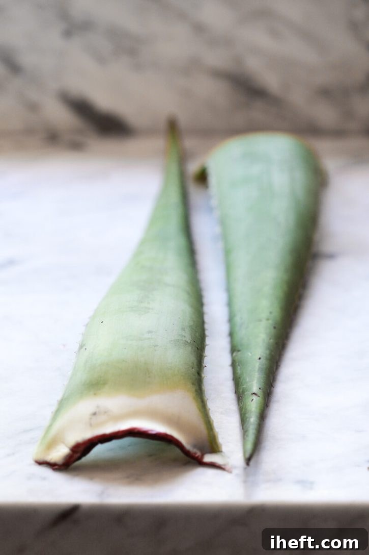 Two vibrant green aloe vera leaves are meticulously arranged on a sleek marble countertop, ready for preparation. These versatile leaves are the essential starting point for crafting either nourishing homemade aloe vera gel or refreshing juice.