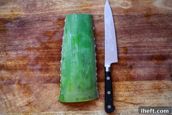 A pristine segment of an aloe vera leaf rests on a sturdy wooden cutting board, positioned beside a sharp chef's knife. This image captures the initial stage of preparing fresh aloe vera, emphasizing the importance of precise cutting for extracting the beneficial gel.