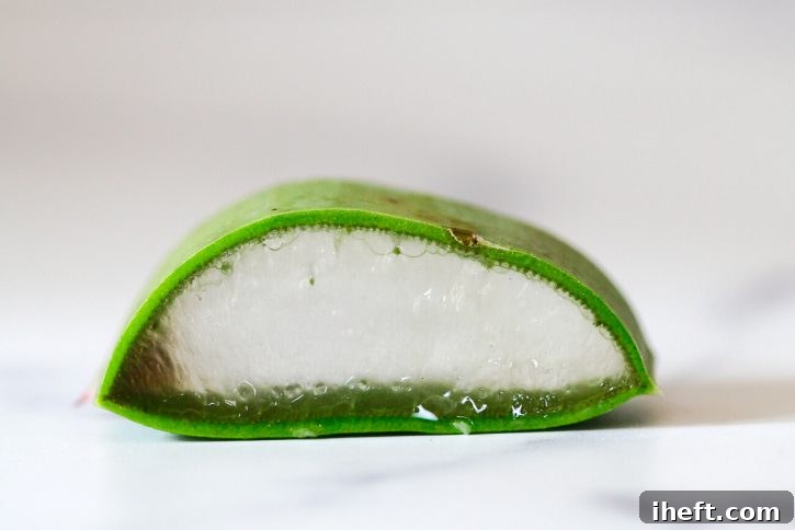 A close-up photograph of a cross-section of an aloe vera leaf, distinctly showing its three primary layers: the dark green outer skin, the thin yellow latex layer nestled underneath, and the clear, succulent inner gel.