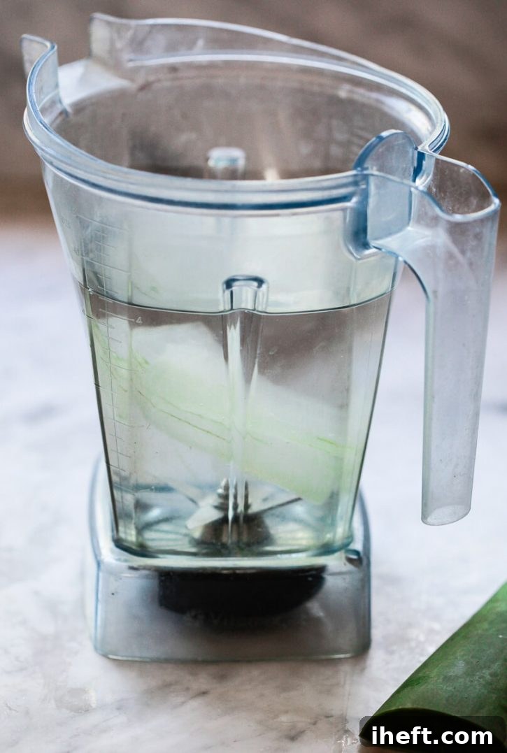 A segment of prepared aloe vera gel is placed alongside water inside a Vitamix blender, poised for the blending process to create fresh, homemade aloe vera juice.