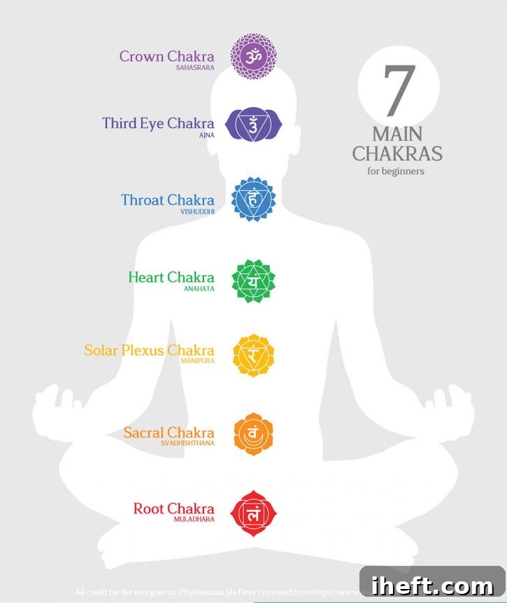 A graphic of a sitting person with the 7 Chrakas and chakra colors shown over the body. Text overlay reads "7 main chakras for beginners"