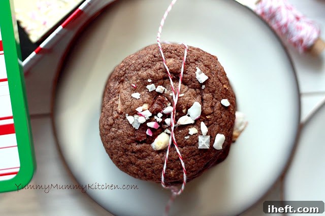 Close-up of a plate of Salted Peppermint Bark Chocolate Cookies, showing the melty peppermint bark pieces and a sprinkle of sea salt.
