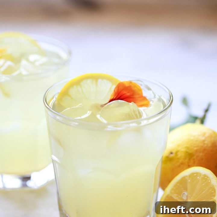 Lemon Ginger Apple Cider Vinegar Cleanse Detox Drink 