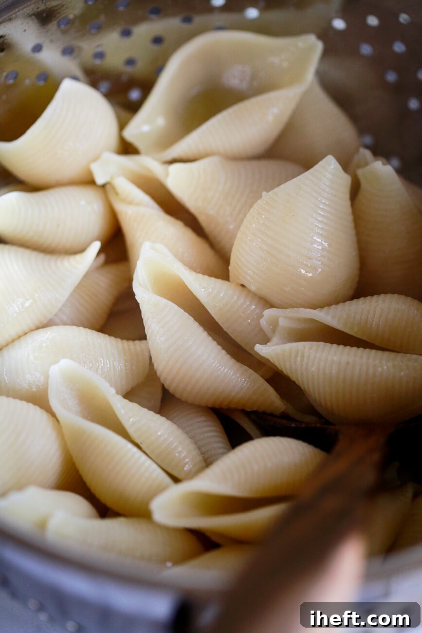 Cooked jumbo shells Conchiglioni drain in a colander. 