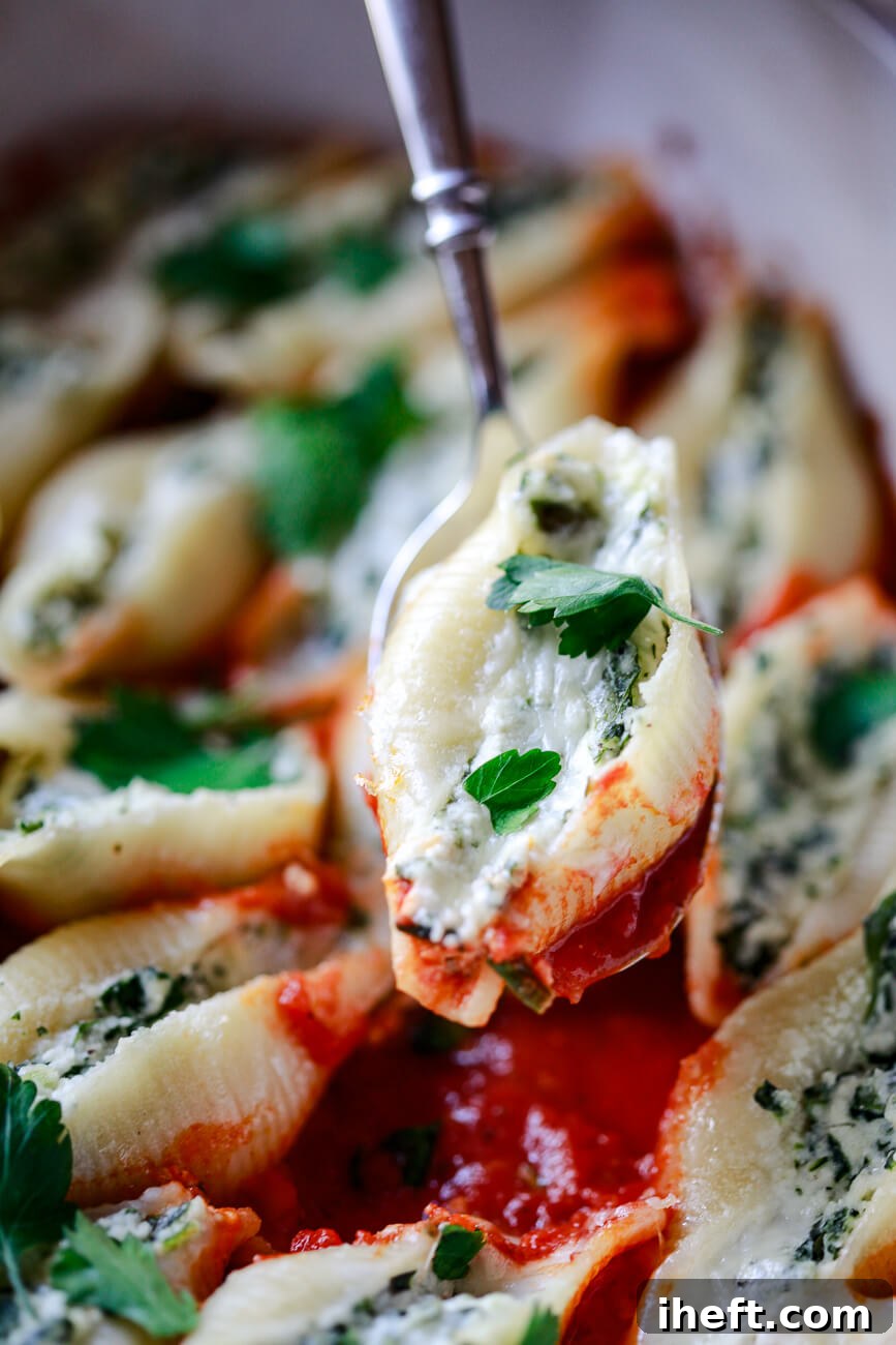 A close-up photo of a ricotta and spinach stuffed pasta shell being lifted out of a casserole dish with a spoon. 