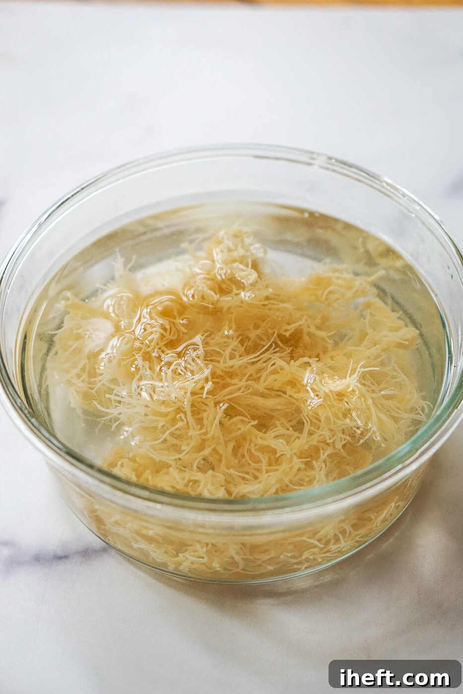 Dried sea moss begins its transformation, soaking in a clear glass bowl on a pristine marble countertop, an essential step before crafting sea moss gel.