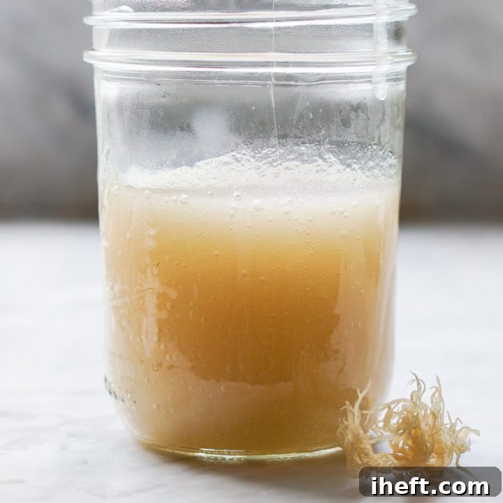 A close up photo of a mason jar filled with homemade sea moss gel. A piece of dried sea moss sits in the foreground.