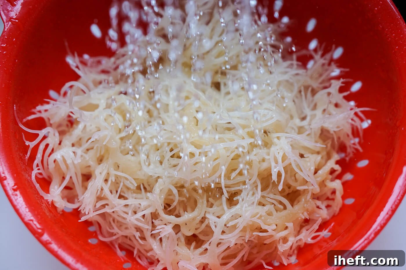 Dried sea moss gets rinsed in the sink.