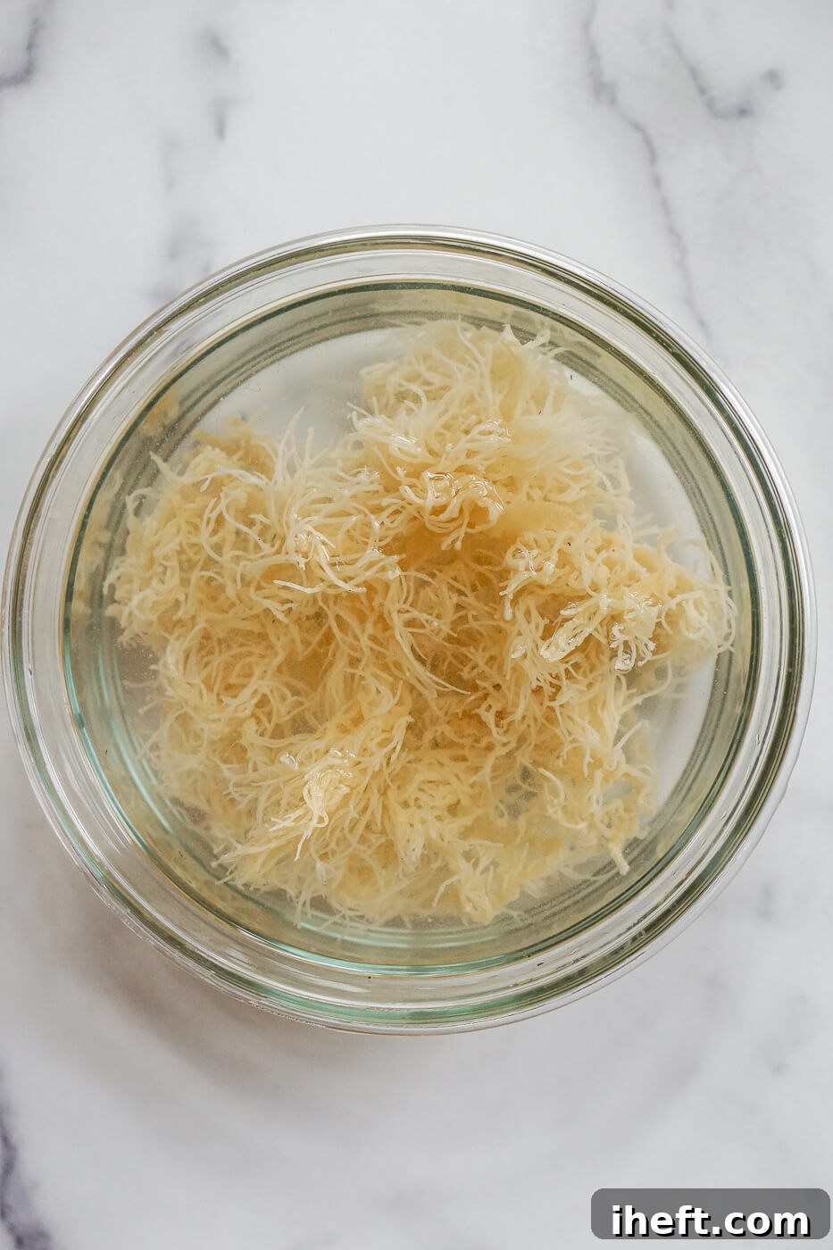 Dried sea moss soaks in a bowl of warm water.
