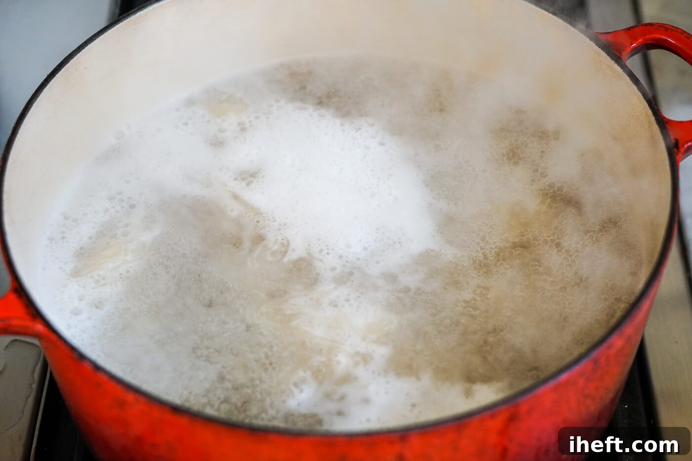 Soaked sea moss boils in a large pot on the stove.