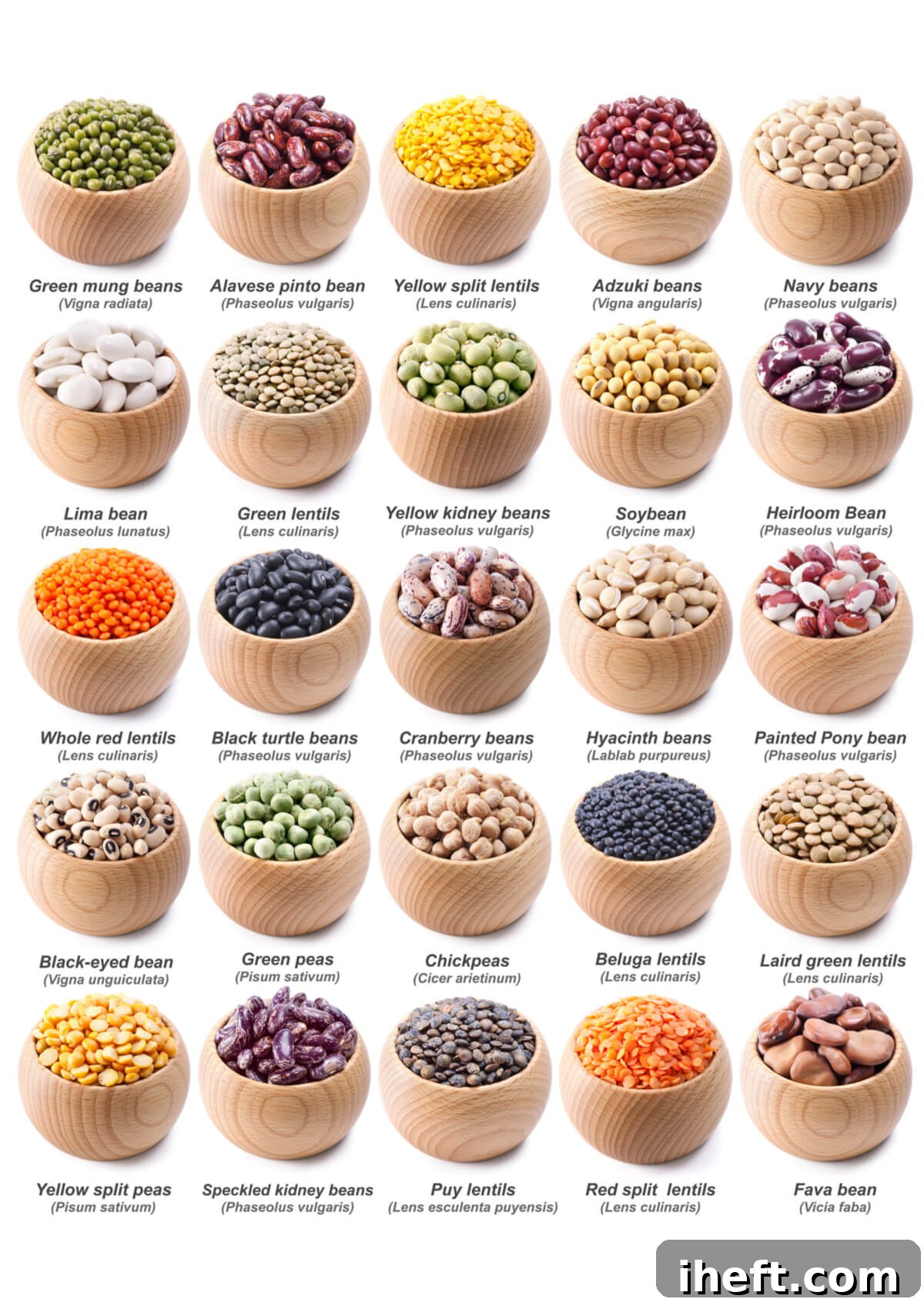 A visual display of 25 different types of legumes arranged in small wooden bowls, highlighting their variety.