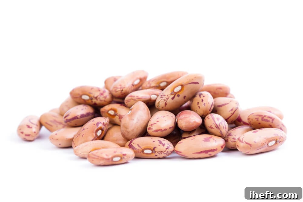 Close up photo of pinto beans, showcasing their speckled appearance.