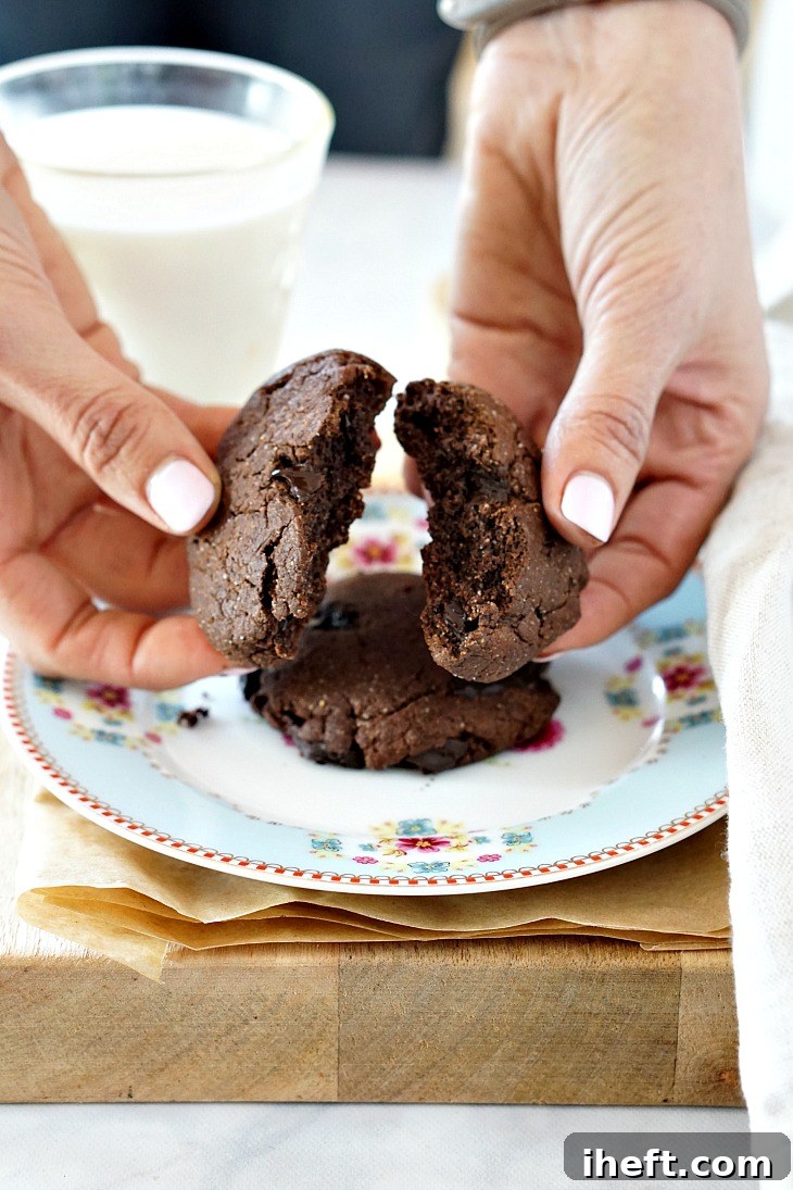 Fudgy and delicious double chocolate chip cookies made with healthier ingredients like almond flour, coconut flour, and almond butter. 
