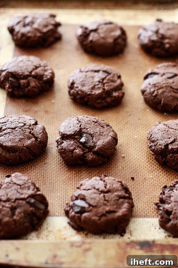 A sheet of freshly baked double chocolate almond flour cookies. These delicious cookies are vegan, paleo, and gluten-free.
