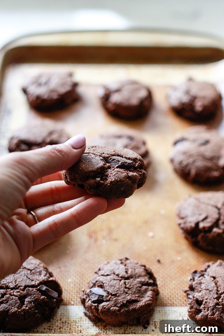 Chocolate cookies with chocolate chunks. These paleo, vegan, and gluten-free chocolate cookies are made with healthier ingredients like almond flour, almond butter, and coconut flour. 
