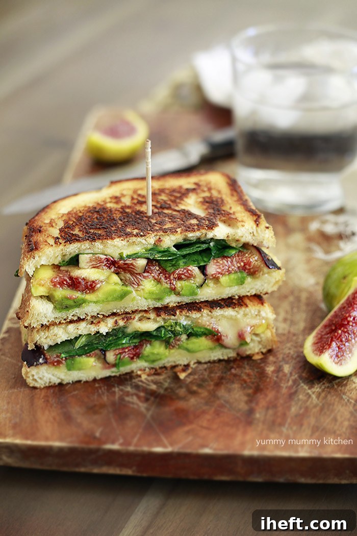 A beautiful gourmet grilled cheese sandwich, generously filled with fresh figs, creamy avocado, and vibrant spinach, showcasing a great Blackstone griddle recipe.