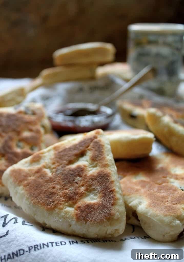 Freshly made griddle scones served alongside a bowl of luscious jam, ready for a delightful tea time.