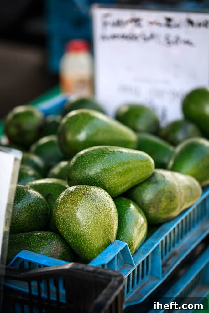 A crate filled with bacon avocados at the Santa Barbara farmers market. 