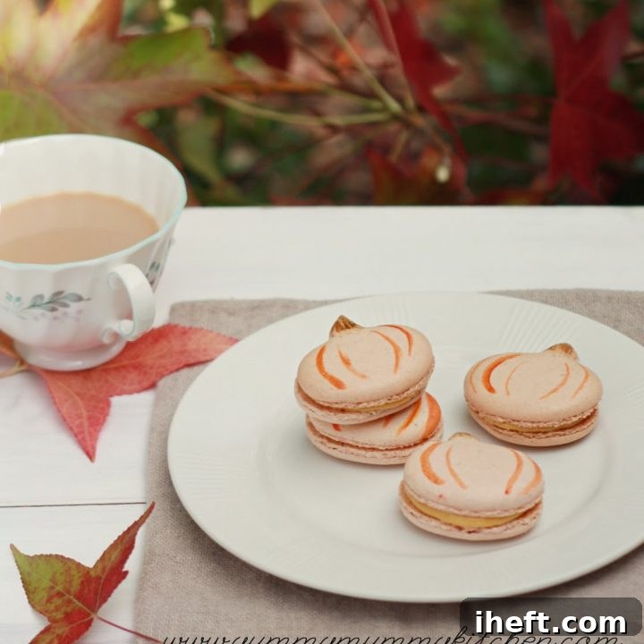 Pumpkin shaped pumpkin French macaron cookies are perfect for Thanksgiving or fall.