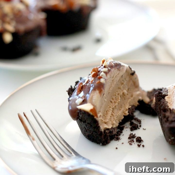 Mud pie with Oreo crust and coffee ice cream