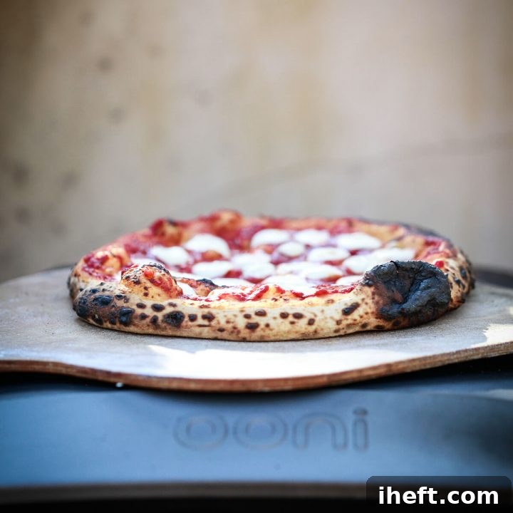 A freshly cooked pizza with mozzarella and basil sits on a pizza peel on top of an Ooni pizza oven, perfectly browned.
