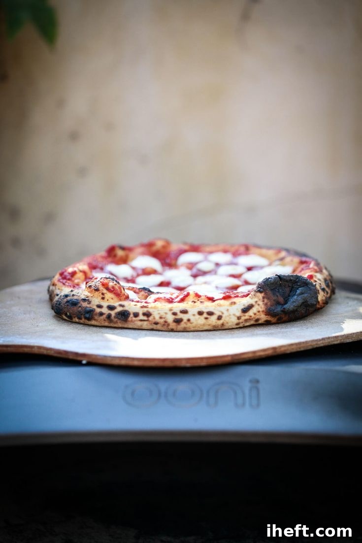 A freshly cooked pizza with mozzarella and basil sits on a pizza peel on top of an Ooni pizza oven, perfectly browned.