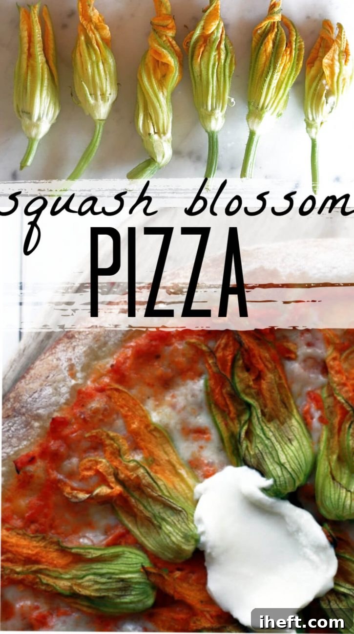A perfectly baked Squash Blossom Pizza, generously topped with vibrant yellow zucchini flowers and creamy melted cheese, glistening with olive oil and ready to be served.