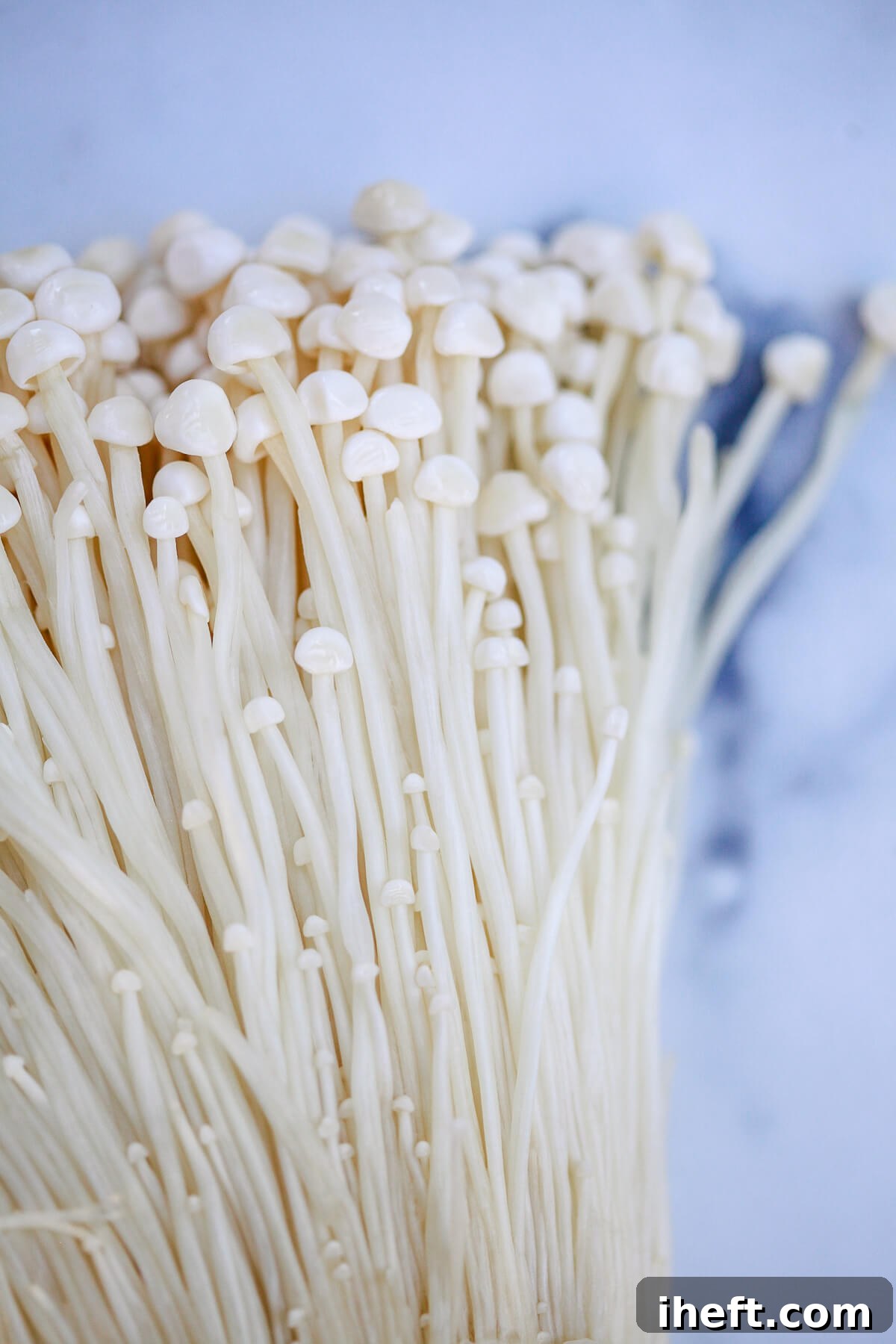 Enoki mushroom on a marble countertop.