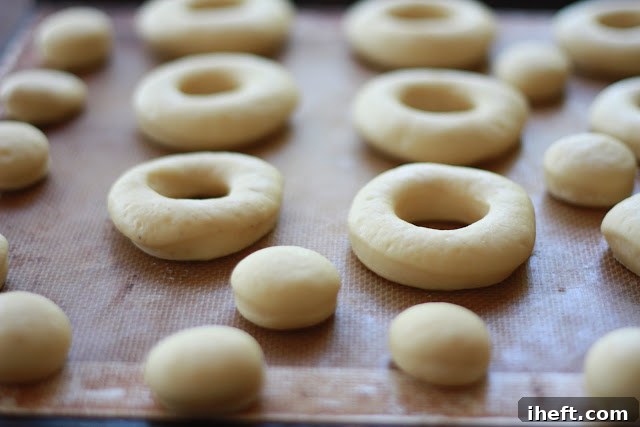 Donut dough rounds rising on a parchment-lined baking sheet before baking
