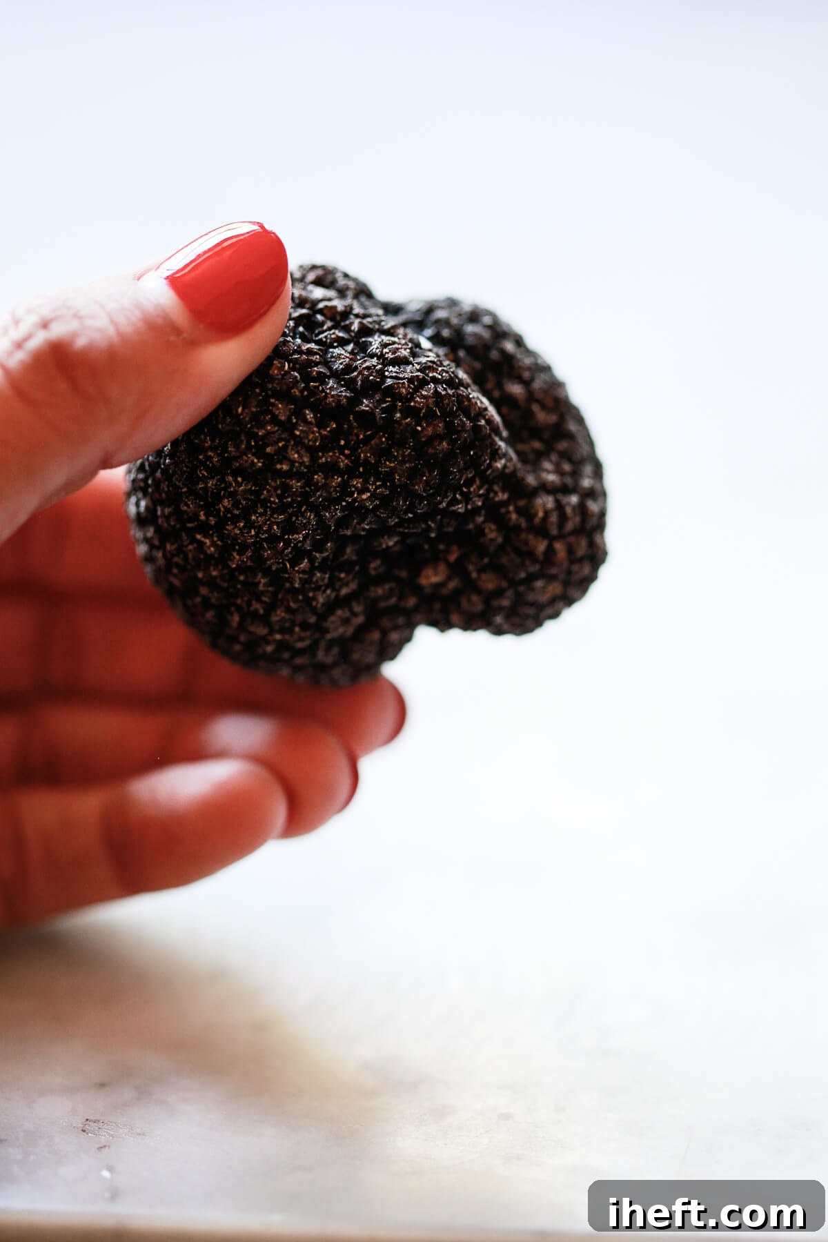 A hand with red nail polish holds 1.8 oz. fresh black truffle about the size of a golf ball on a white marble countertop. 