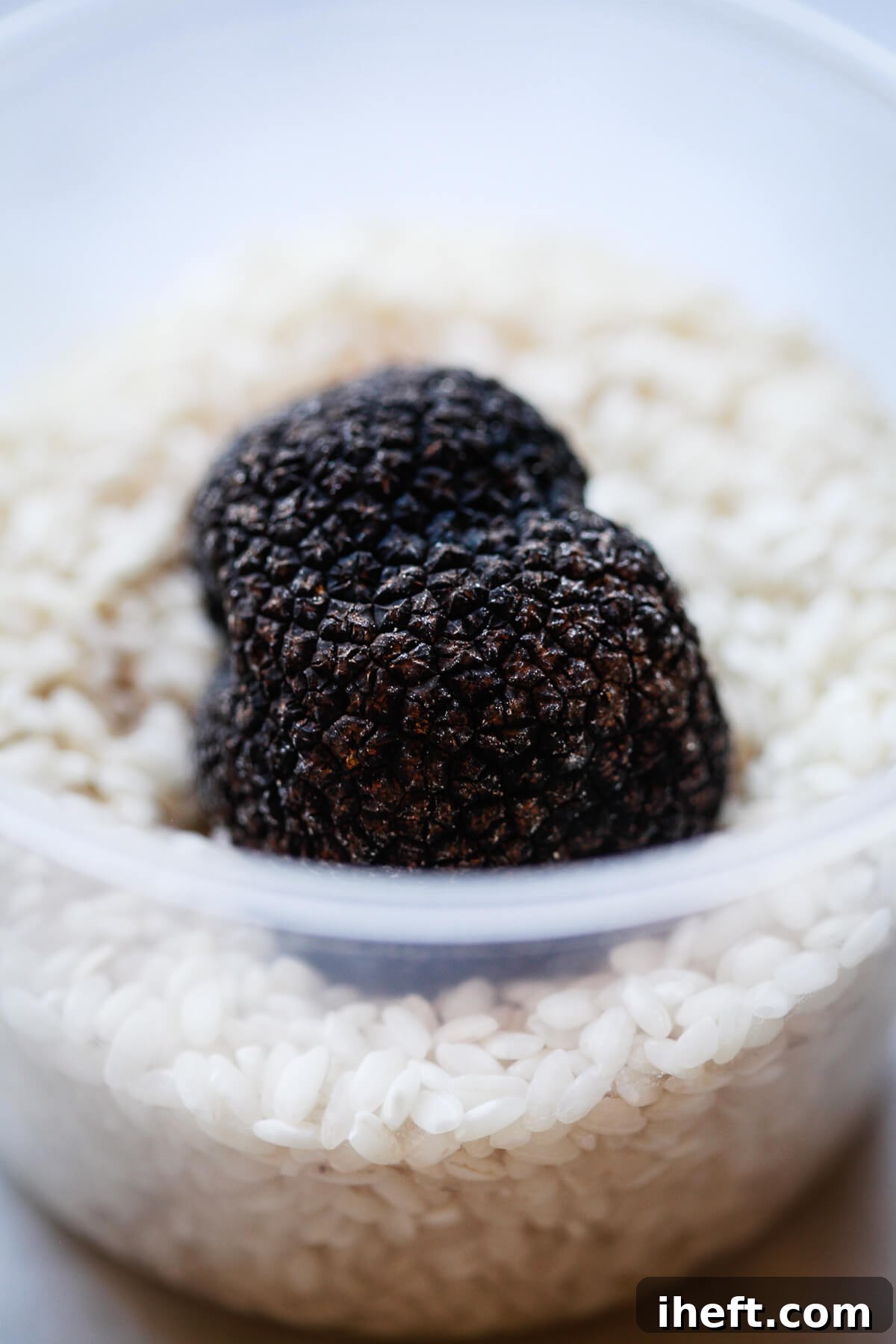 A black truffle in a container of rice. 