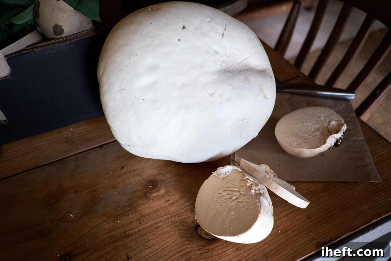 A large, whole giant puffball mushroom resting beside two thick slices of another puffball, elegantly displayed on a rustic wooden table.