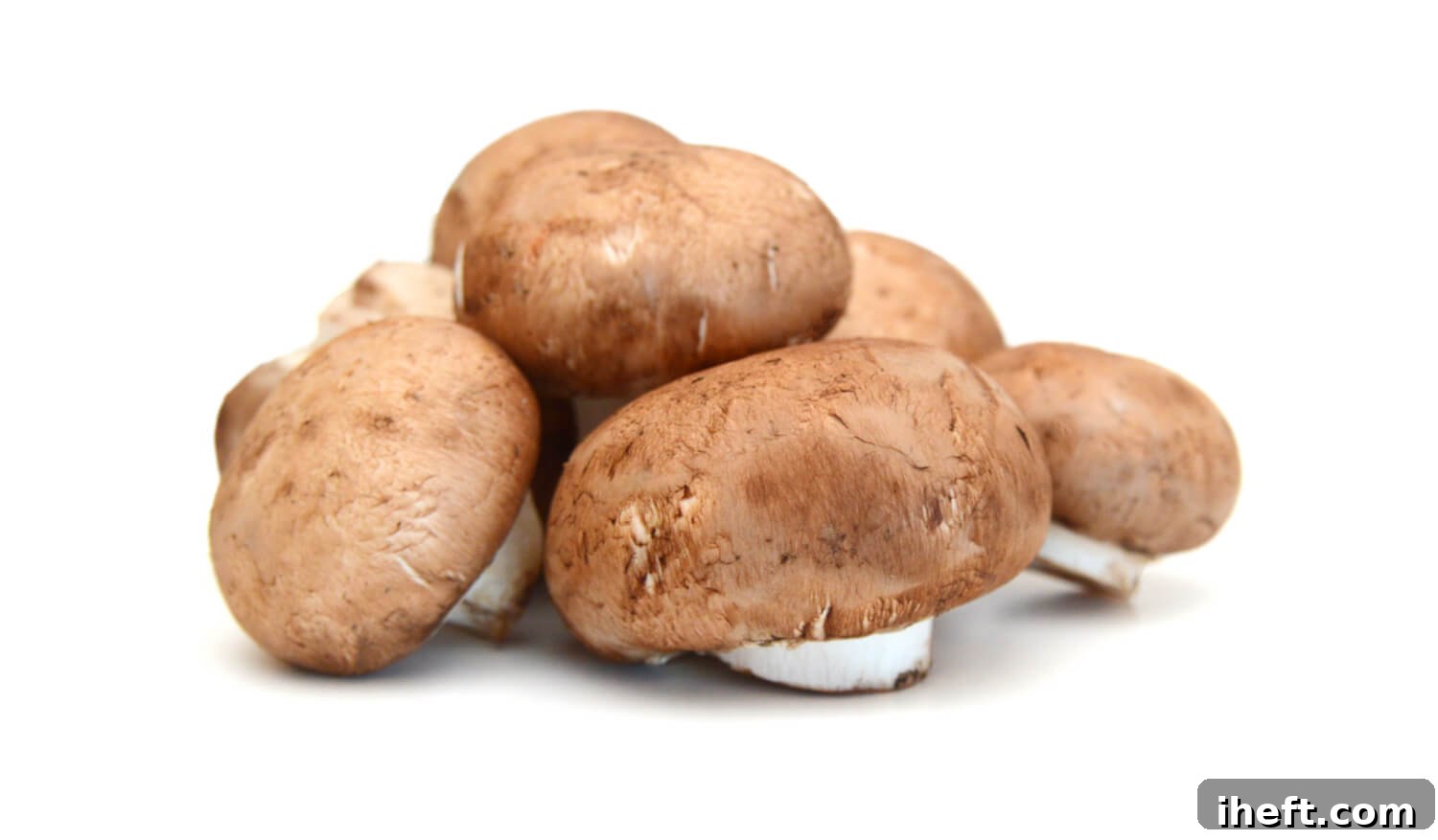 A small, neat pile of dark brown chestnut mushrooms, showcasing their distinct caps and slender stems, on a clean white background.