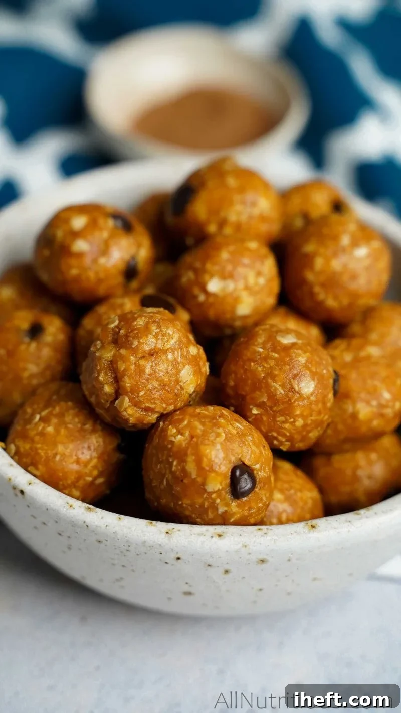 A bowl of pumpkin protein balls with chocolate chips. 
