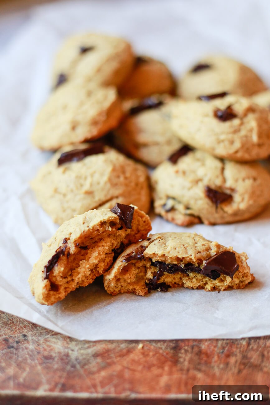 Vegan chocolate chip pumpkin cookies are scattered on parchment paper, displaying their delightful texture and inviting chocolate chunks.