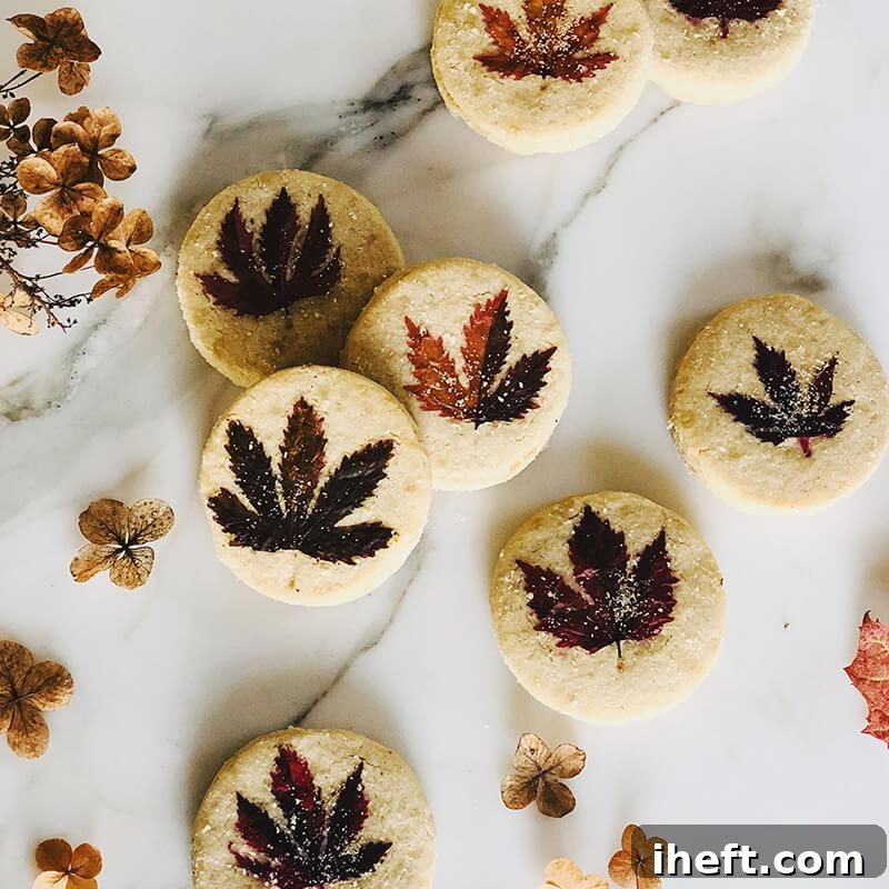 Round shortbread cookies elegantly topped with delicate, pressed edible fall leaves in various colors, arranged artistically on a white surface.