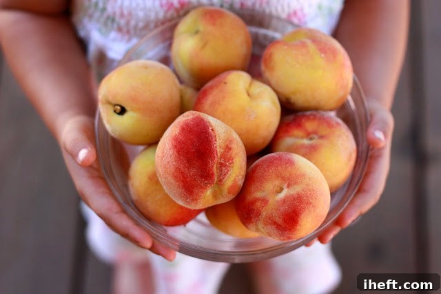 Close-up of ripe, juicy homegrown peaches hanging on a tree branch, bathed in sunlight.