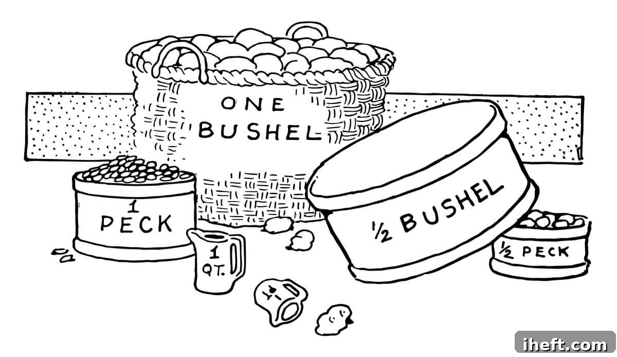 An illustrative drawing depicting the relative sizes of a bushel, a half bushel, a peck, and a half peck, offering a clear visual comparison of these dry volume measurements.