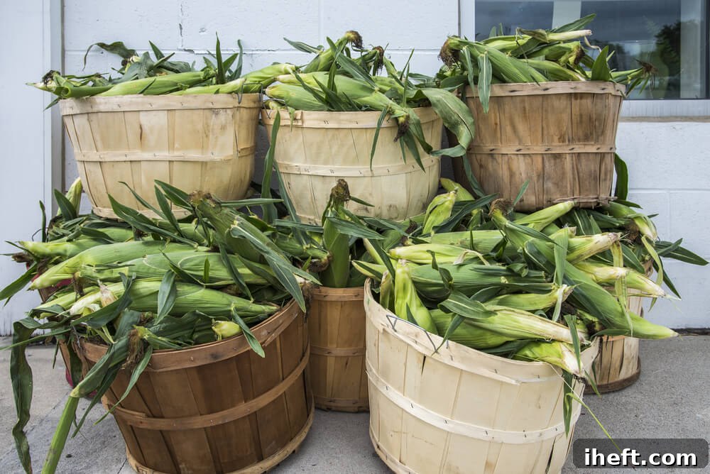 Traditional bushel baskets overflowing with freshly harvested yellow corn, set against a rustic background, highlighting farm-fresh produce.