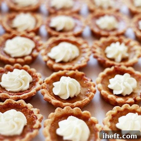 A tray of mini pumpkin pies topped with whipped cream.