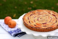 Golden Apricot Plum Almond Tart